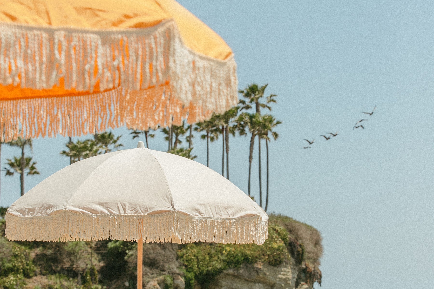 Abby Cox Sunday Supply Co.