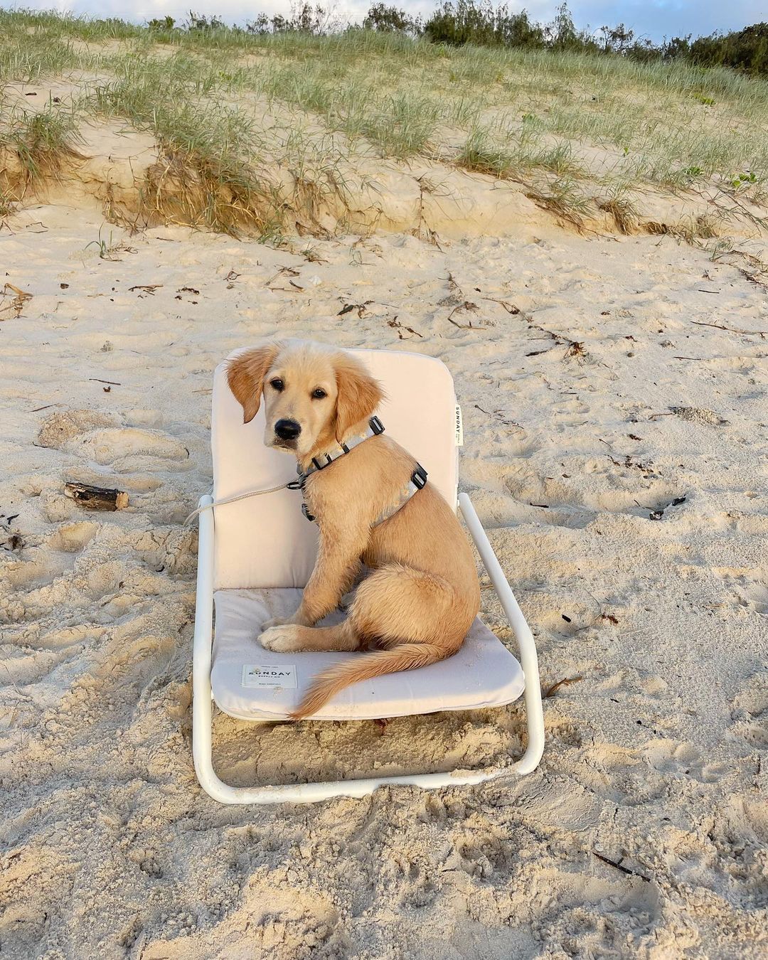 Dunes Beach Chair Set