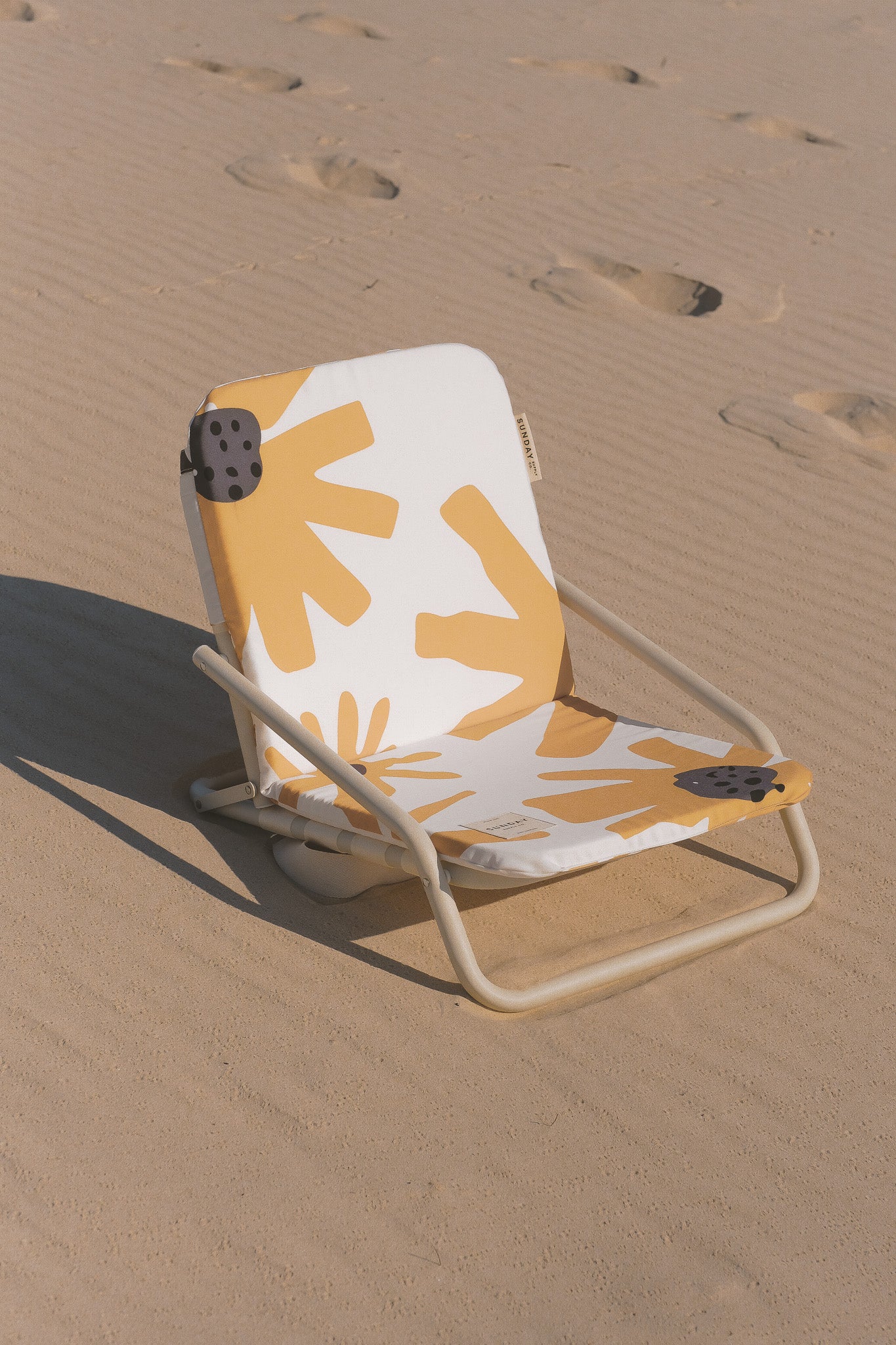 Summer Field Beach Chair