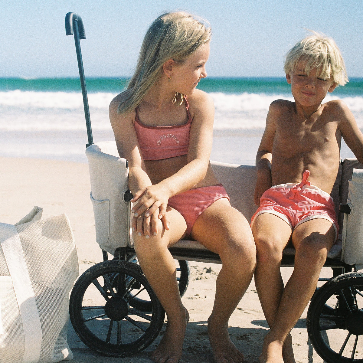 Dunes Beach Cart