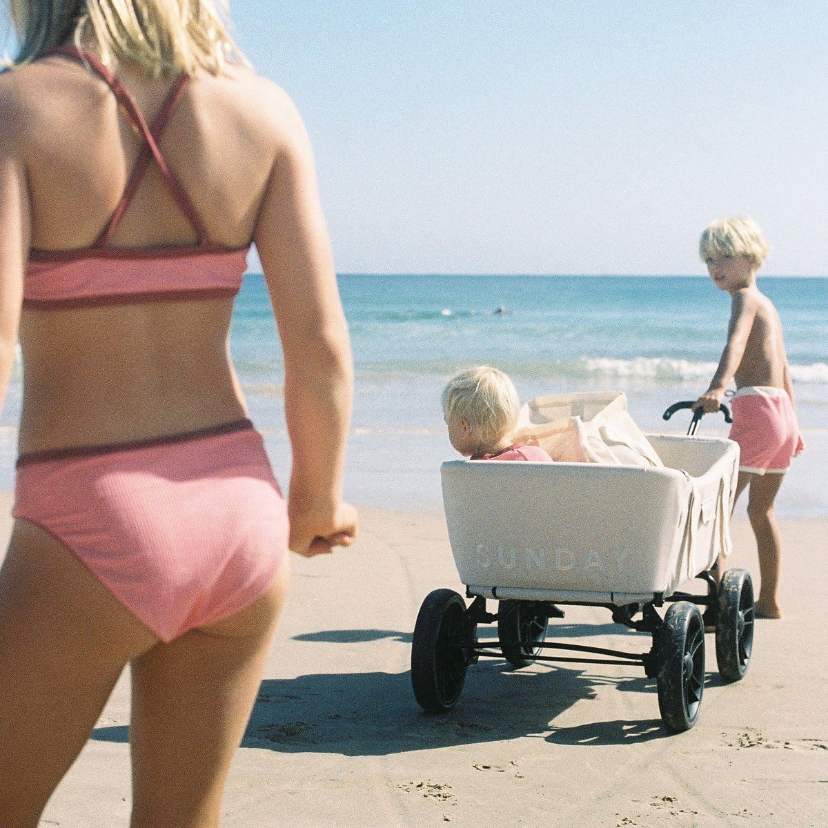 Dunes Beach Cart