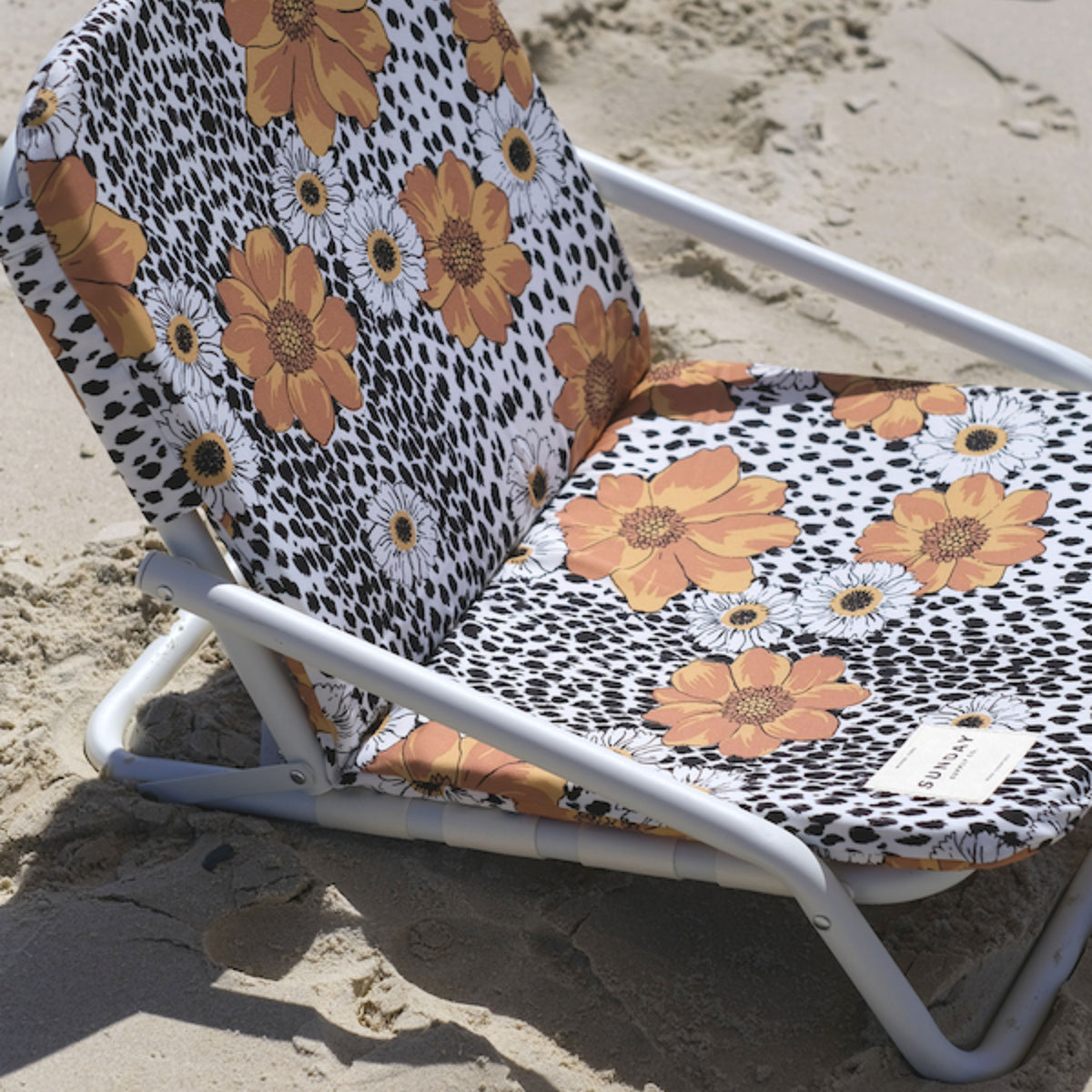 Animal Kingdom Beach Chair Set