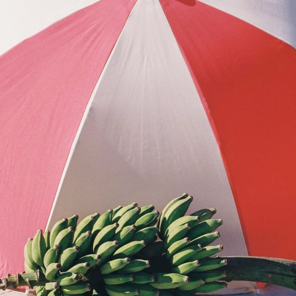 Rio Splice Travel Beach Umbrella