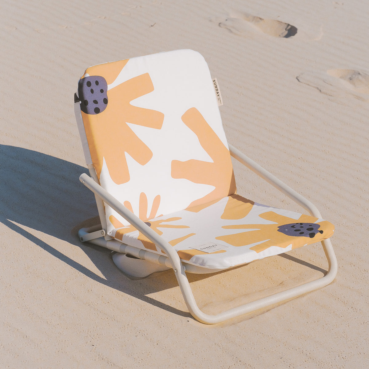 Summer Field Beach Umbrella & Beach Chair Set