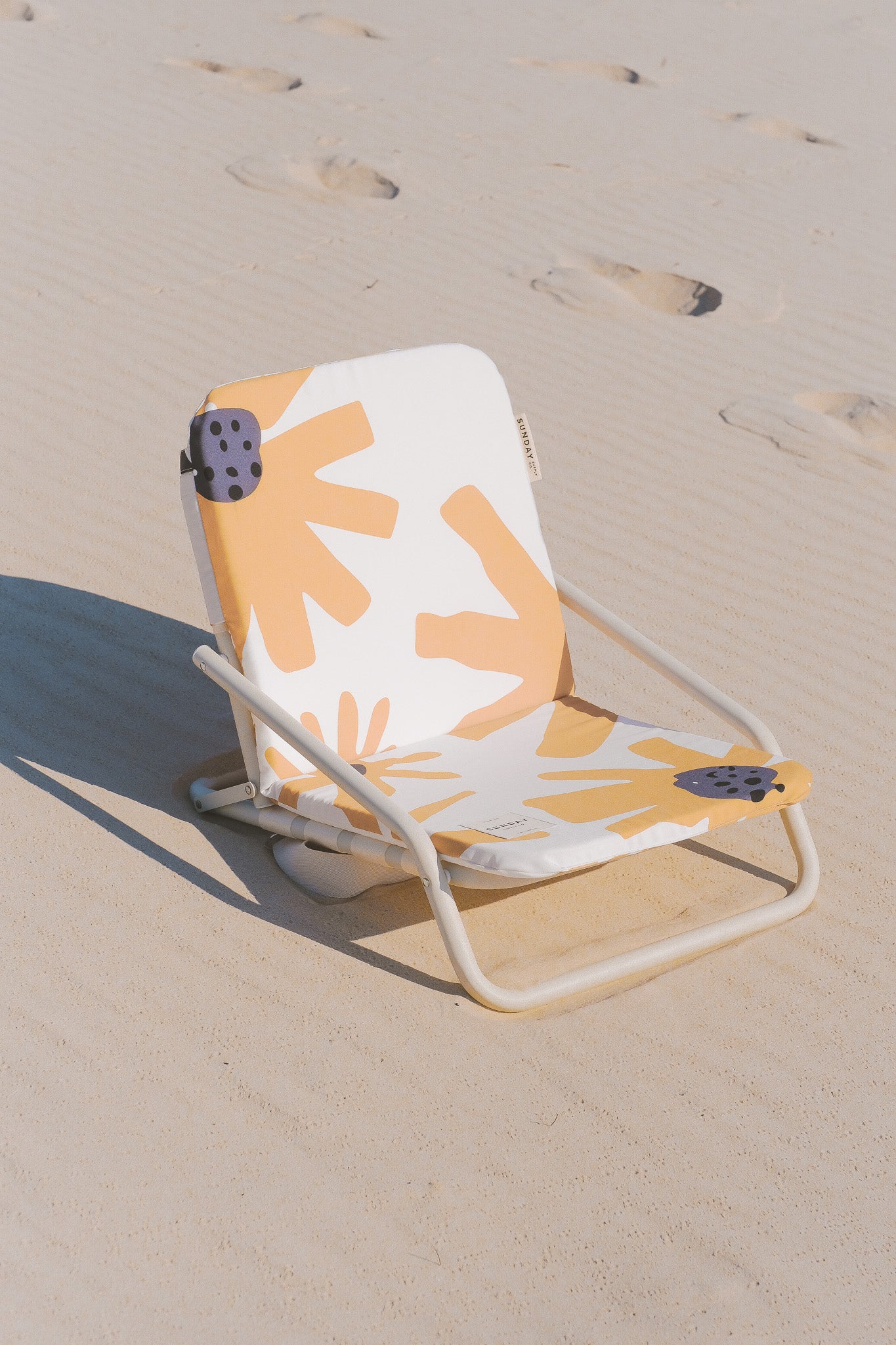 Summer Field Beach Umbrella & Beach Chair Set