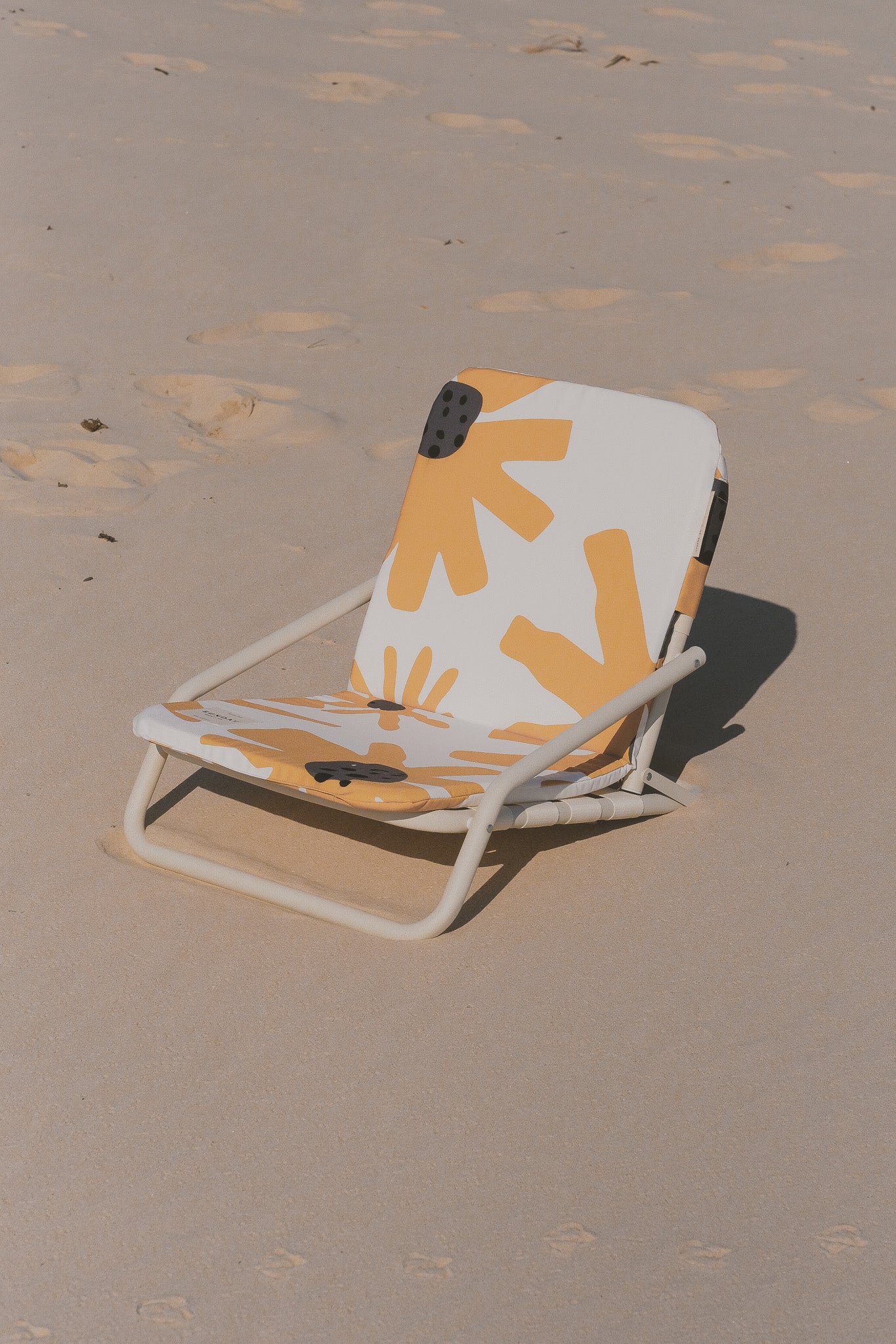 Summer Field Beach Chair