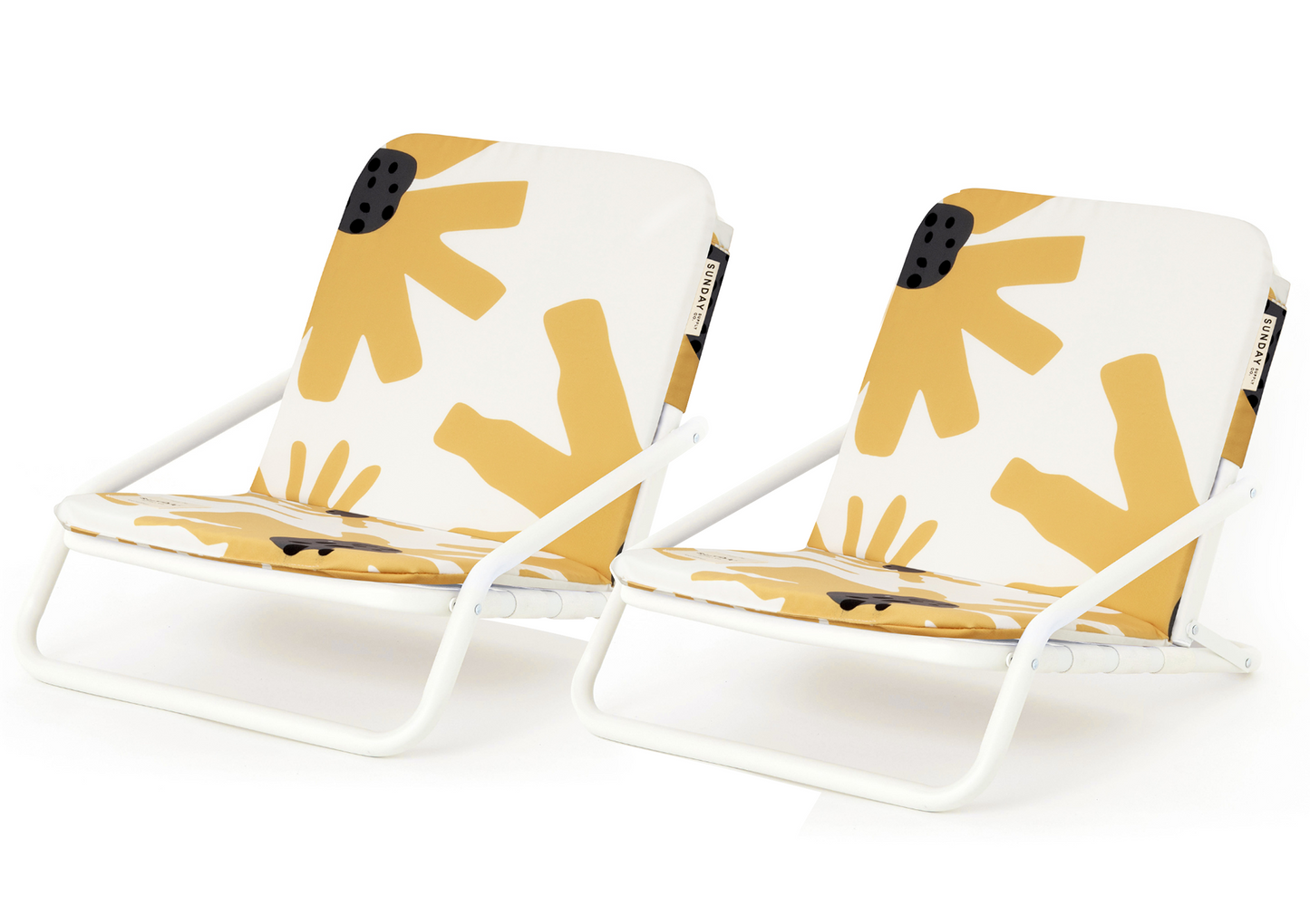 Summer Field Beach Chair Set